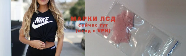 стафф Алзамай